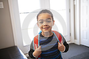 A child boy coming home passing through the door after school