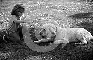 Child boy with dog outdoor. Kid playing with puppy. Children with pet friend. Carefree childhood.