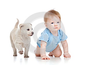 Child boy and dog puppy playing and crawling