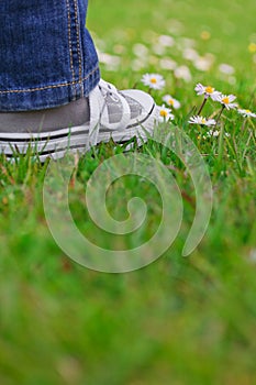 Child boy or girl feet in jeans and sneakers standing on green grass with daisies