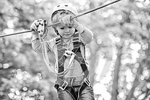 Child boy having fun at adventure park. Happy child climbing in the trees. Happy Little child climbing a tree. Balance