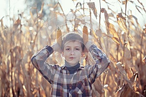 Child boy having fun with farming and gardening of vegetable on warm sunny day early autumn. Harvest, environment, interesting