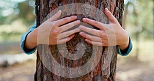 Child boy hugging tree trunk in park, nature life love. Emotional hugging a tree