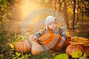 Child boy lies in a basket with pumpkins in autumn leaves.