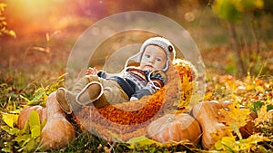 Child boy lies in a basket with pumpkins in autumn leaves.