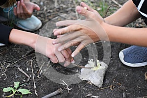 Child boy makes fire by friction method. Survival skills in the forest.