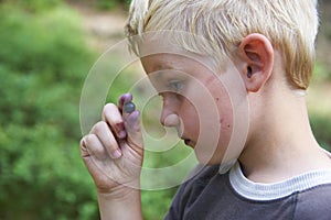 Child boy picking wild blueberries in a blueberry forest