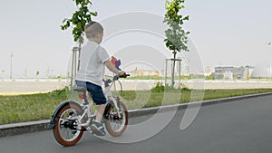 Child boy is riding a bicycle on road with cityscape background at summer day.