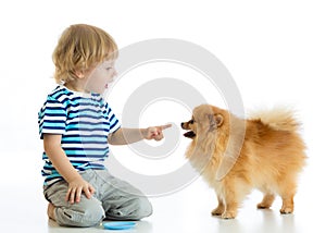 Child boy training Spitz dog. Isolated on white background.