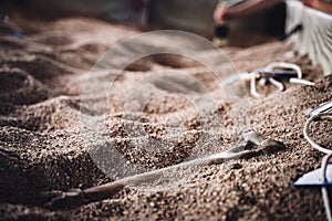 Child brushing away sand at a dinosaur fossil dig exhibit.