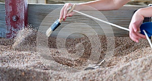 Child brushing away sand at a dinosaur fossil dig exhibit.