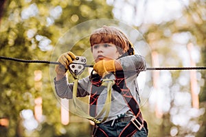 Child. Carefree childhood. Happy child boy calling while climbing high tree and ropes. Happy little child climbing on a