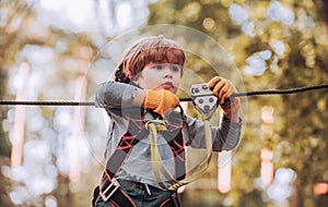 Child. Carefree childhood. Happy child boy calling while climbing high tree and ropes. Happy little child climbing on a