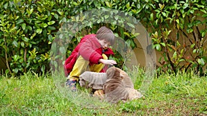 Child caress his shar pei puppy