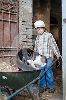 Child carries around a cat in a barrow