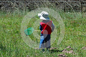 Child catching butterflies photo