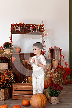 Child celebrating Thanksgiving. Kid holding pumpkin in pumpkin shop. Autumn fun crafts and art. Fall season decoration.
