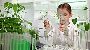Child in Chemistry Lab, School Science Growing Seedling Plants Biology Class