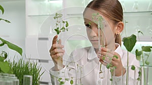 Child in Chemistry Lab, School Science Growing Seedling Plants Biology Class