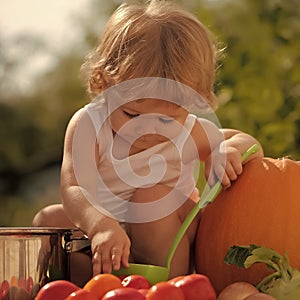 Child Childhood Children Happiness Concept. Cute child at picnic