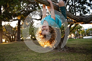 Child climb a tree, kid playing in a park and climbing. Little boy having fun in garden outdoors.