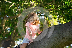 Child climb up tree and having fun in summer park. Cute kids boy climbing.