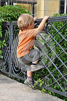 Child climbing fence