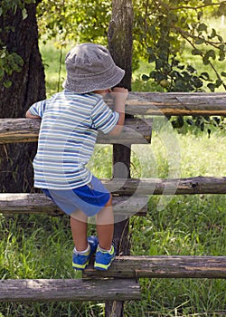 Child climbing the fence