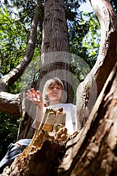 Child climbing tree forest