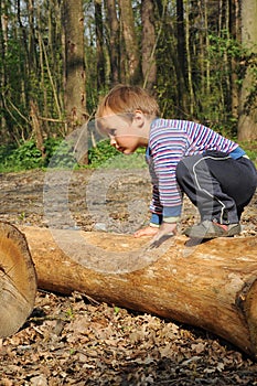 Child climbing trunk