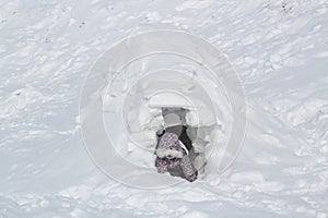 The child climbs out of the snow cave - dwelling Inuit, Igloo