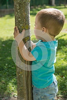 Child clinging to a tree