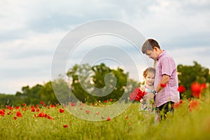 Child with dad picking flowers in poppy field