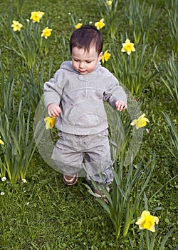 Child in daffodils