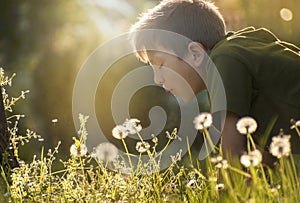 Child with dandelion flower in a spring park. Kid blowing dandelion. Wildlife Enjoyment. Boy is happy outside