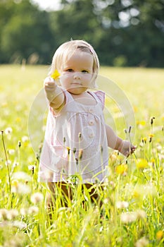 Child at dandelion meadow in summer