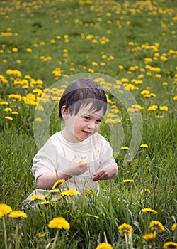 Child in dandelions