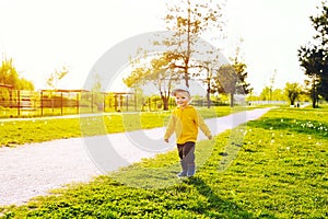 Child with dandelions in the countryside at springtime.