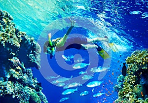 Child diver with group coral fish.