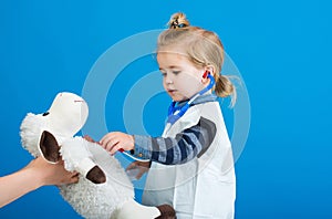 Child doctor examine toy pet with stethoscope on blue background