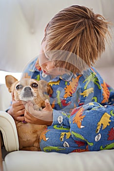 Child, dog and animal playing on couch for bonding together, connection or adoption in living room. Young boy, pet puppy