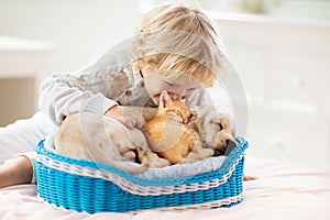 Child, dog and cat. Kids play with puppy, kitten