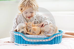 Child, dog and cat. Kids play with puppy, kitten