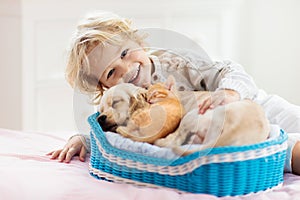 Child, dog and cat. Kids play with puppy, kitten