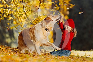 The child and the dog play happily and carelessly. Warm colors of autumn in the park.