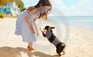 Un il cane sul Spiaggia 