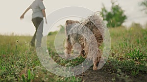 child and dog run in the park. happy family pet kid dream concept. dog and child legs close-up run in nature on the