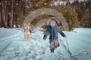 A child with a dog runs through a snow-covered winter forest.