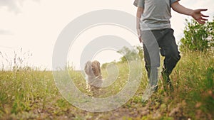 child and dog walking in the park. happy family pet kid dream concept. dog and child legs close-up walk in nature on the