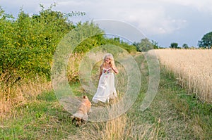 Child and dog walking together among golden summer fields